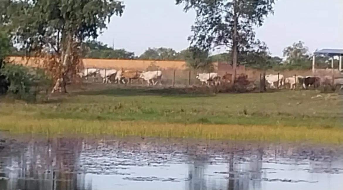 Oportunidad en zona industrial 12 hectáreas en Ypane/Villeta, foto 5