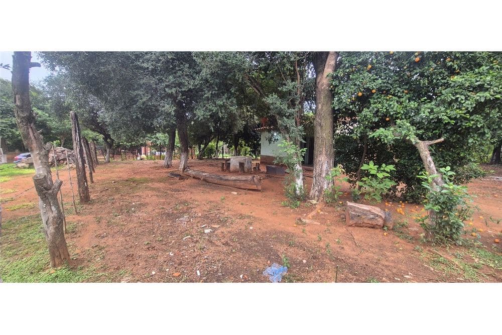 Terreno-Venta-LIMPIO TSUNESABURO MAKIGUCHI, Limpio, Central, foto 2