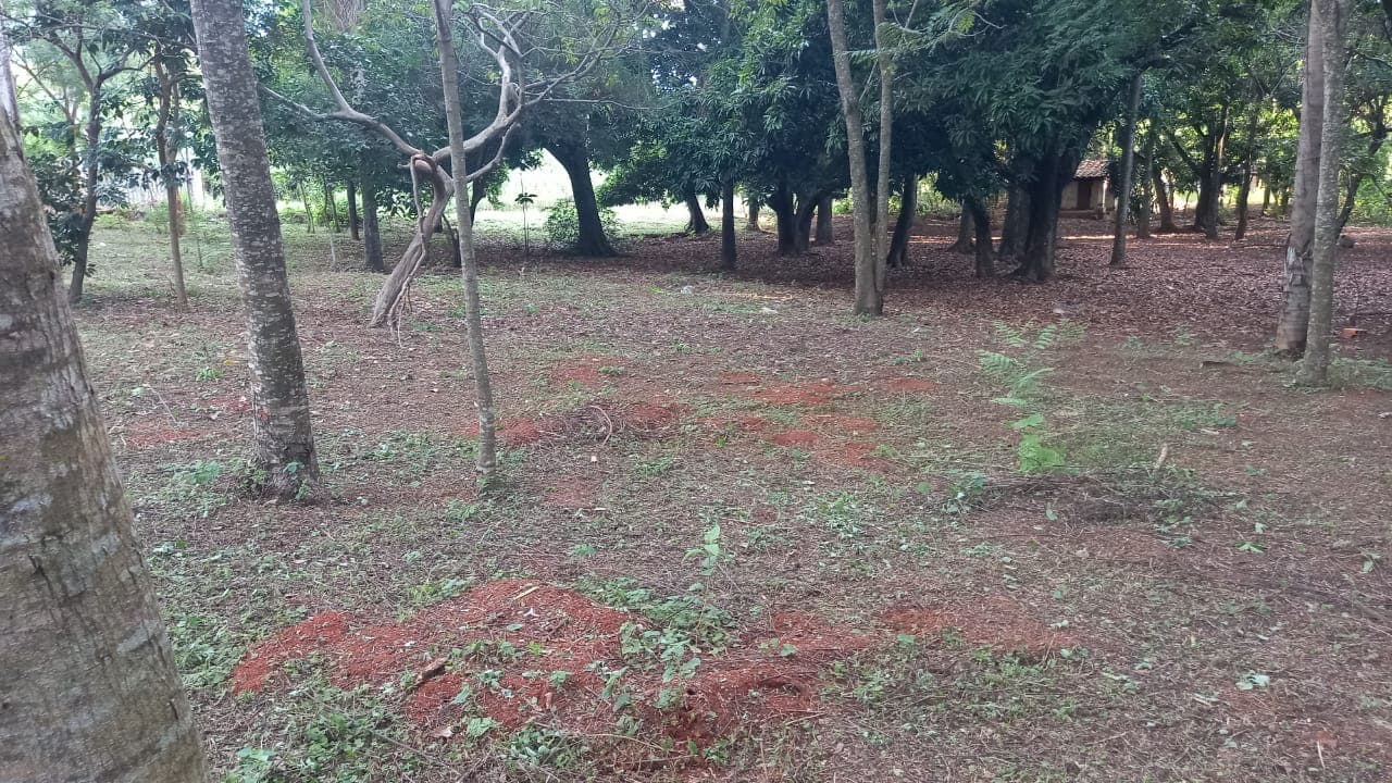 hermoso terreno en Itaugua: 6.134 m2, foto 3
