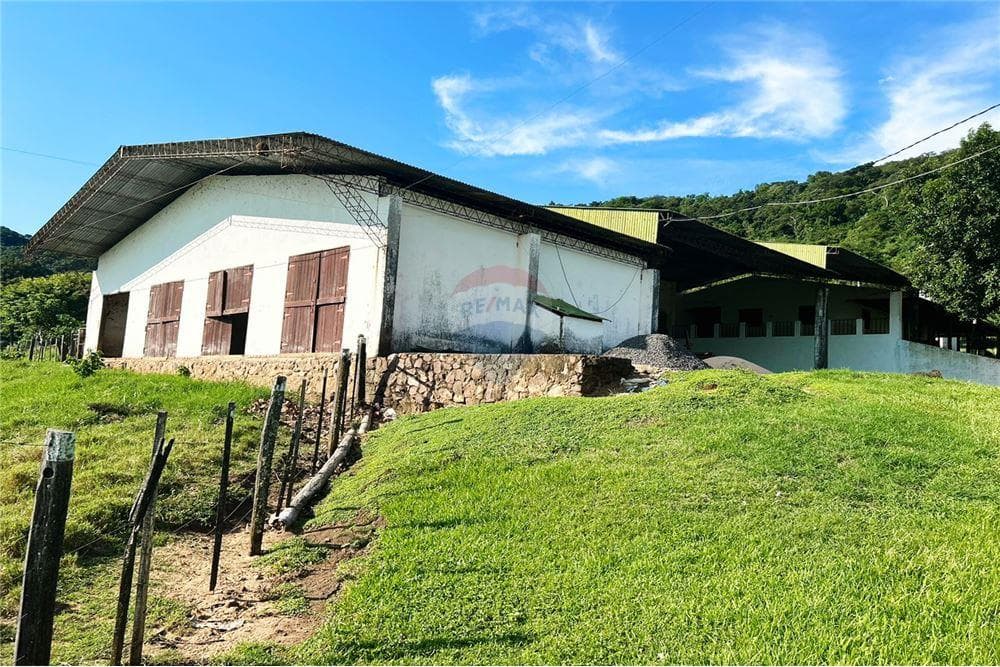 Finca Agrícola - Venta - Ybycuí, Paraguarí, Paraguay, foto 5