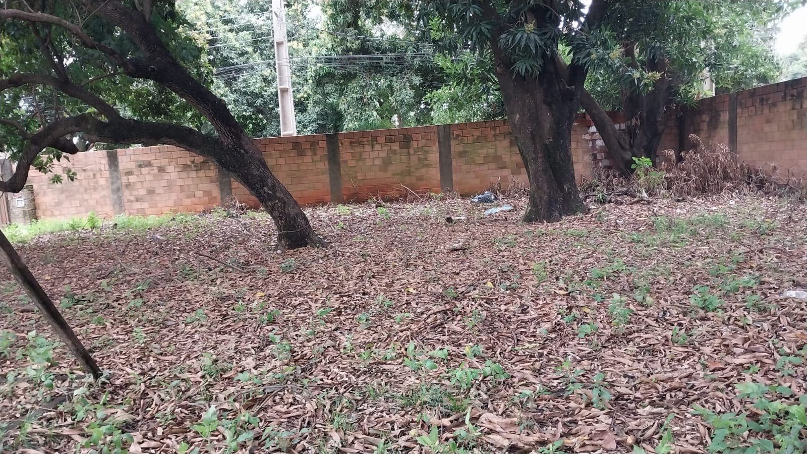 2 Terrenos Juntos Por Separado En Lambaré A 50 Metros De Cacique Lambare, foto 5