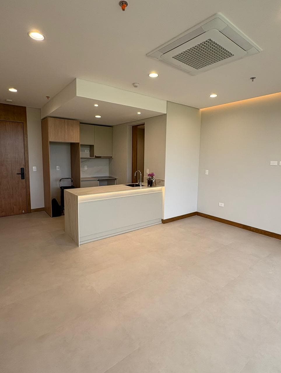 departamento a estrenar de 1 hab en Distrito Perseverancia, Asunción✨, foto 3