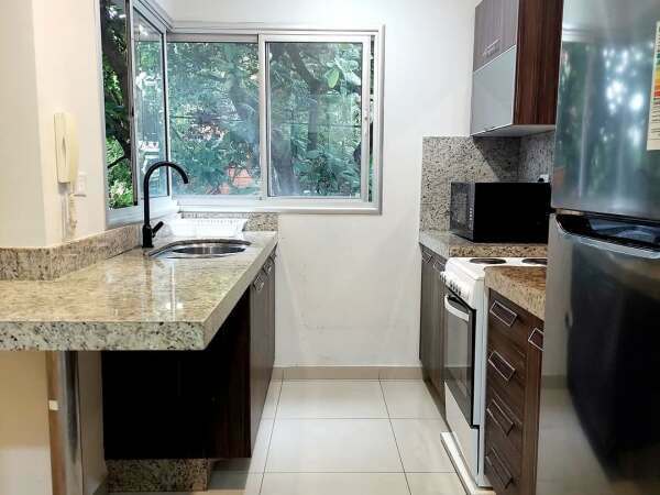 Dpto amoblado de dos habitaciones barrio Carmelitas, foto 5