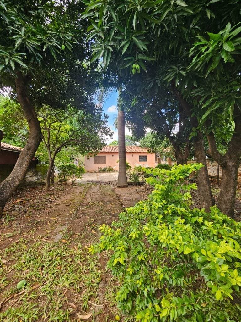 Terreno en Luque - loma merlo, foto 2