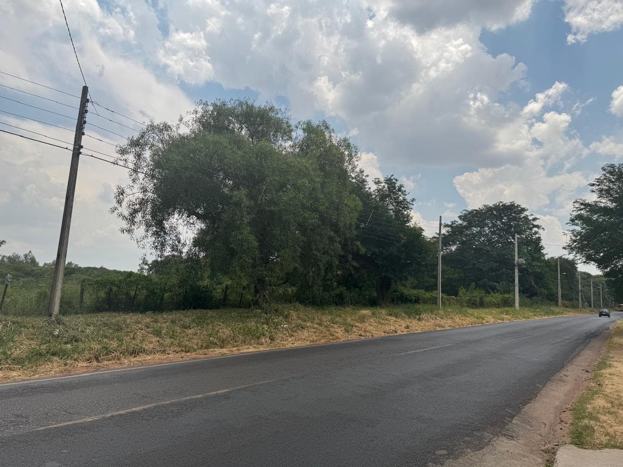 Terreno de 1 hectarea sobre americo pico Villa Elisa, foto 3