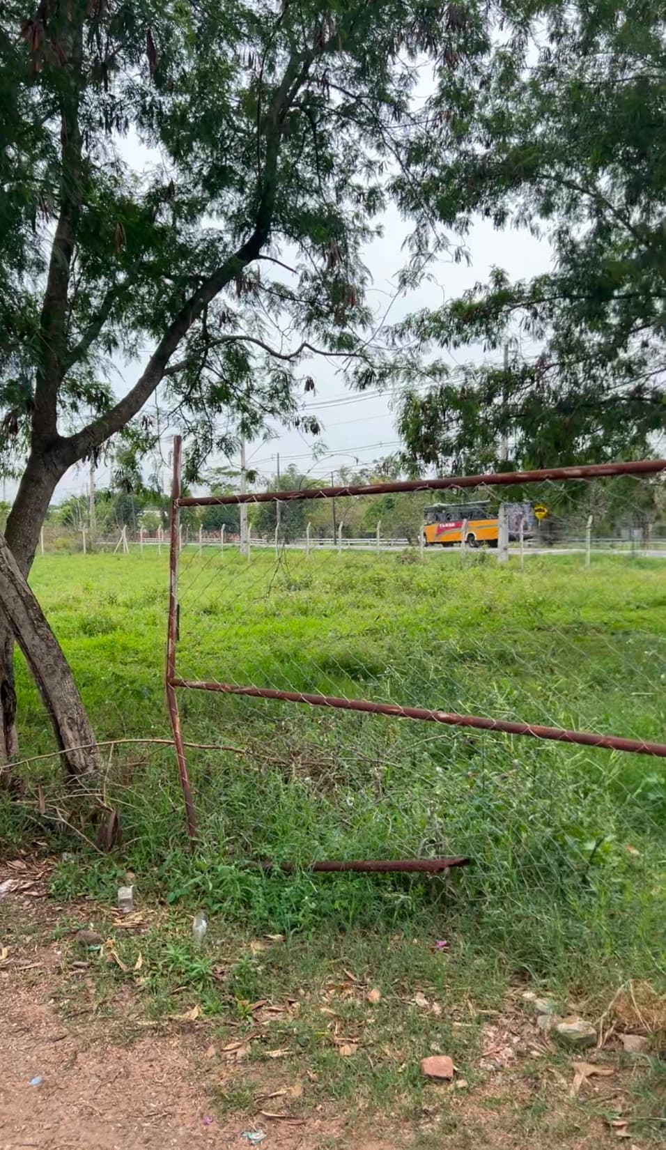 Amplio terreno sobre avenida principal en San Bernardino, foto 3