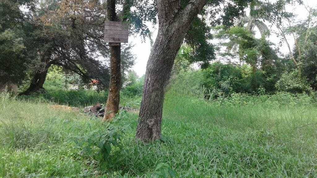 Terreno en Lambaré – Cercanías del Yacht, foto 3