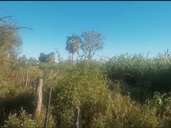 ⚠️vendo terreno villa oliva!, foto 5