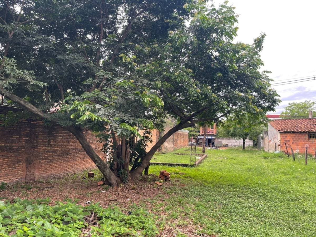 TERRENO DE 532 m² (esquina/penúltimo), a 100mts de Avda. del Rosario - Luque, foto 2
