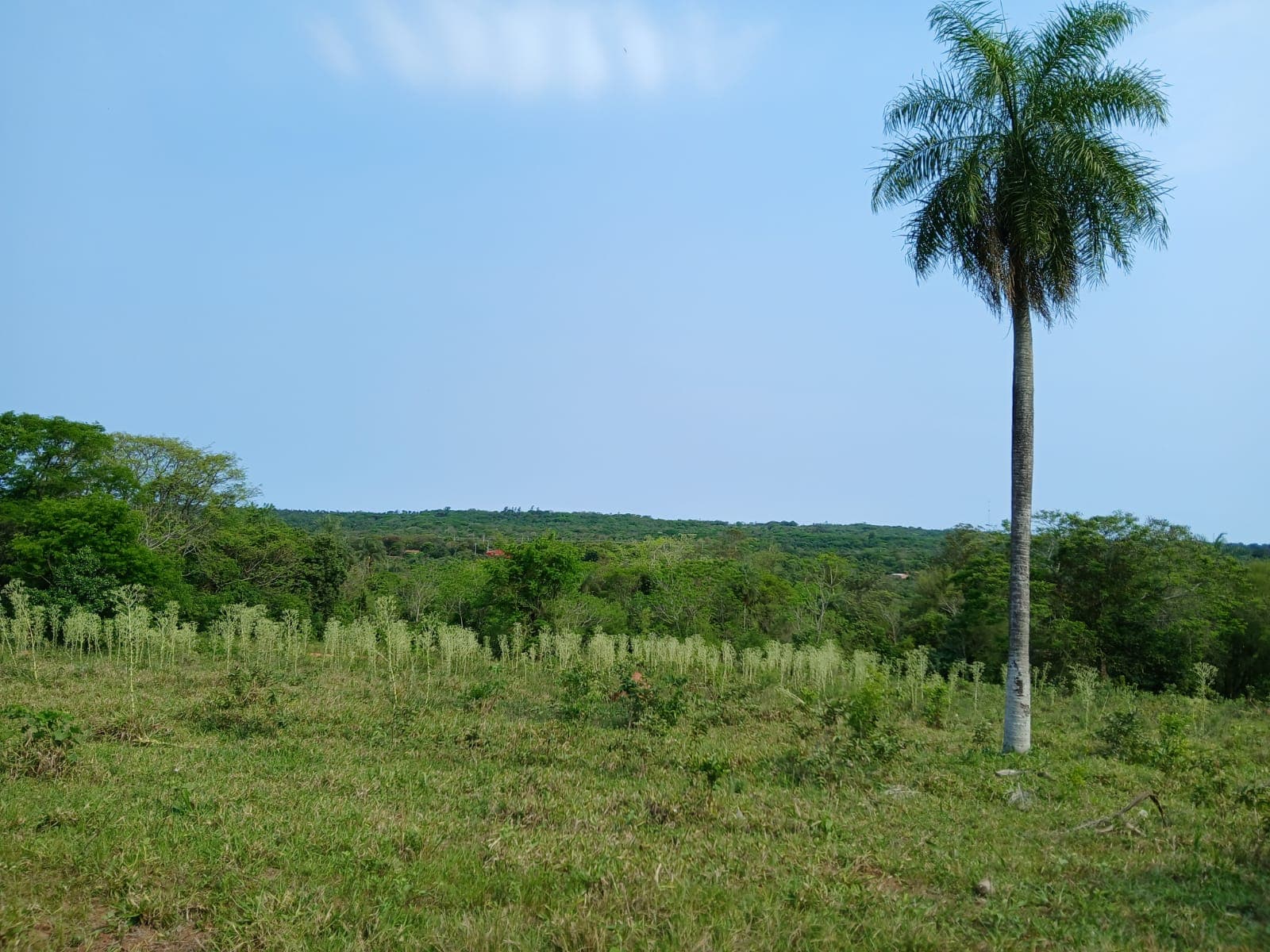 Terreno en la ciudad de altos, foto 2