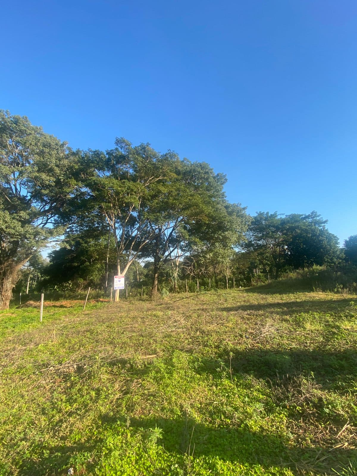 En venta amplio terreno en ypane, foto 2