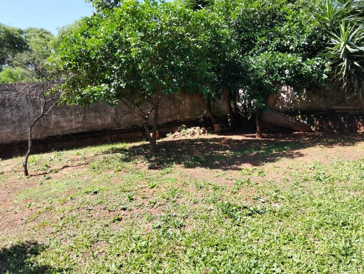 Terreno en Luque, foto 3