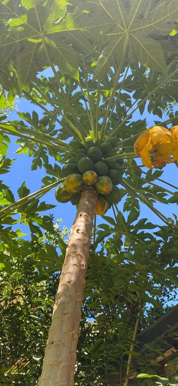 en Mburucuya, excelente ubicación — foto 2