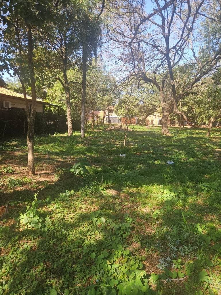 terreno en Luque loma merlo, foto 3