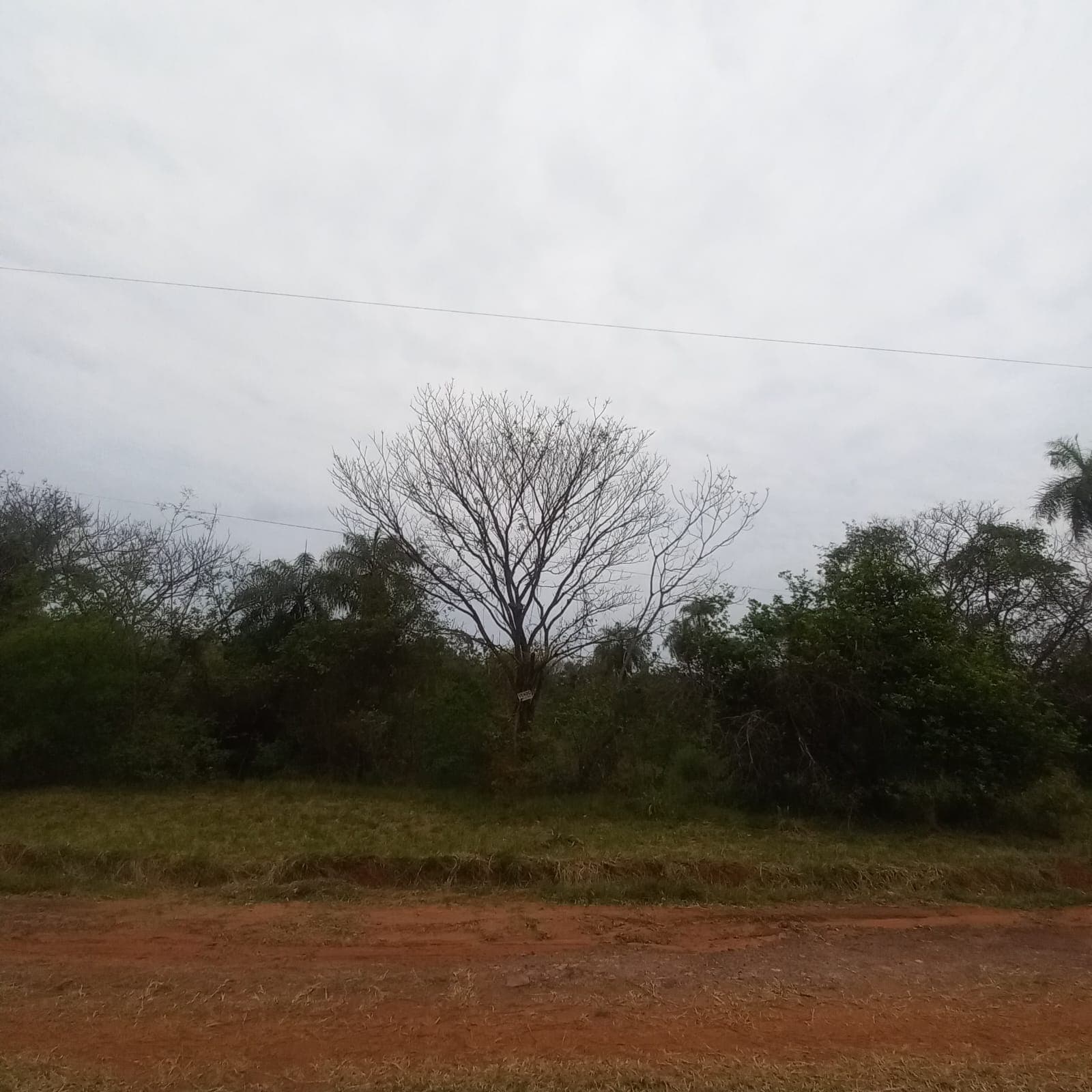 Terreno en VENTA ATYRA!!!, foto 2