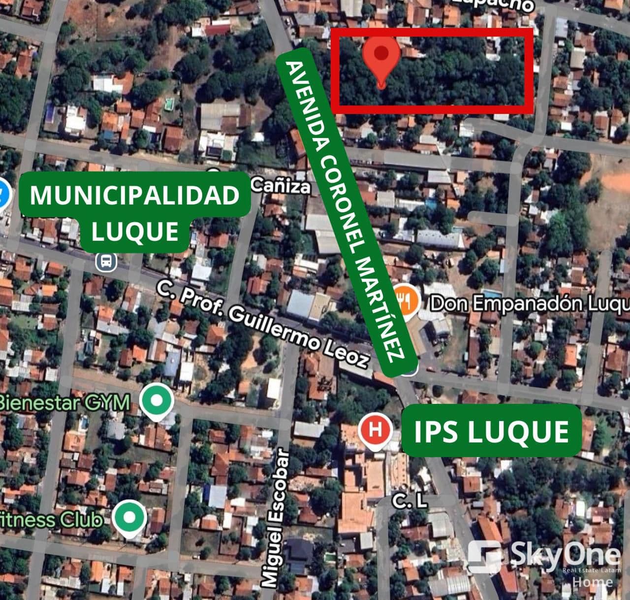 Terreno, foto 2