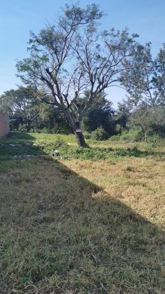 En venta terreno en barrio villa rosita de aregua, foto 3