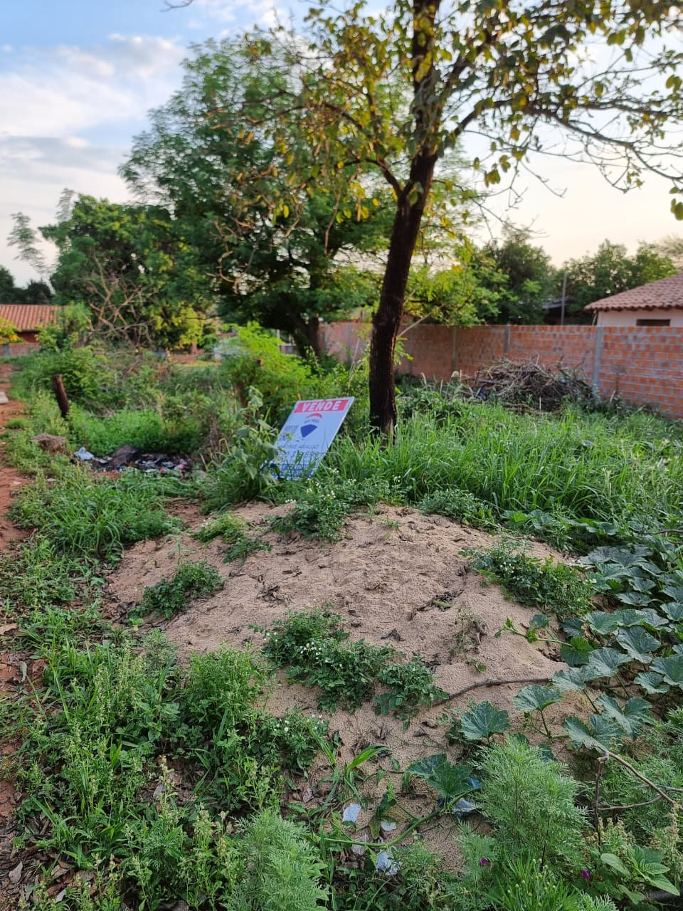 Terreno en venta en Ñemby — foto 5