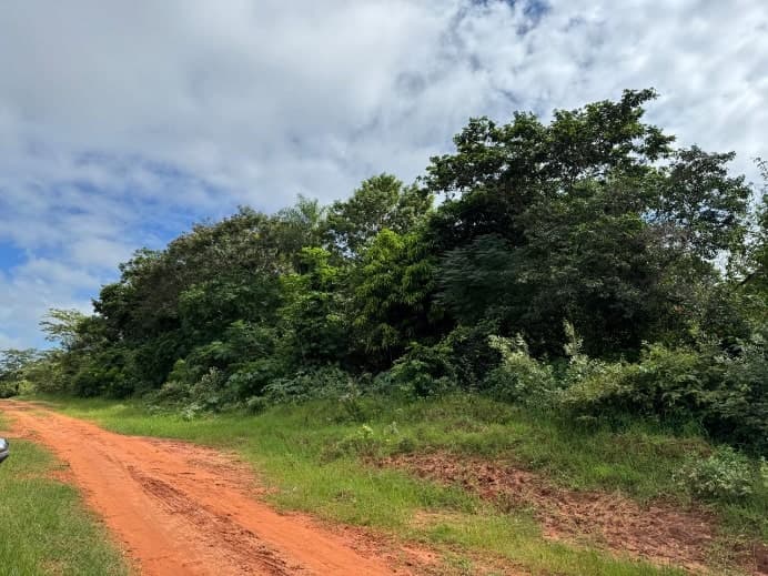 Terreno 2,5 ha en Yataity del Norte – Ideal para Agricultura — foto 4