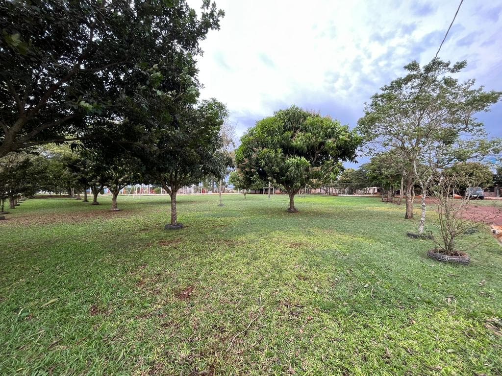 Propiedad de 5.303m2 en km 14. Cde!! Ref. Clem 2, foto 3