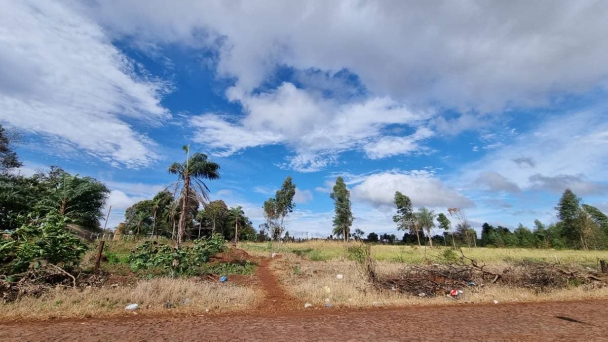 Imponente terreno en pedro juan caballero, foto 2
