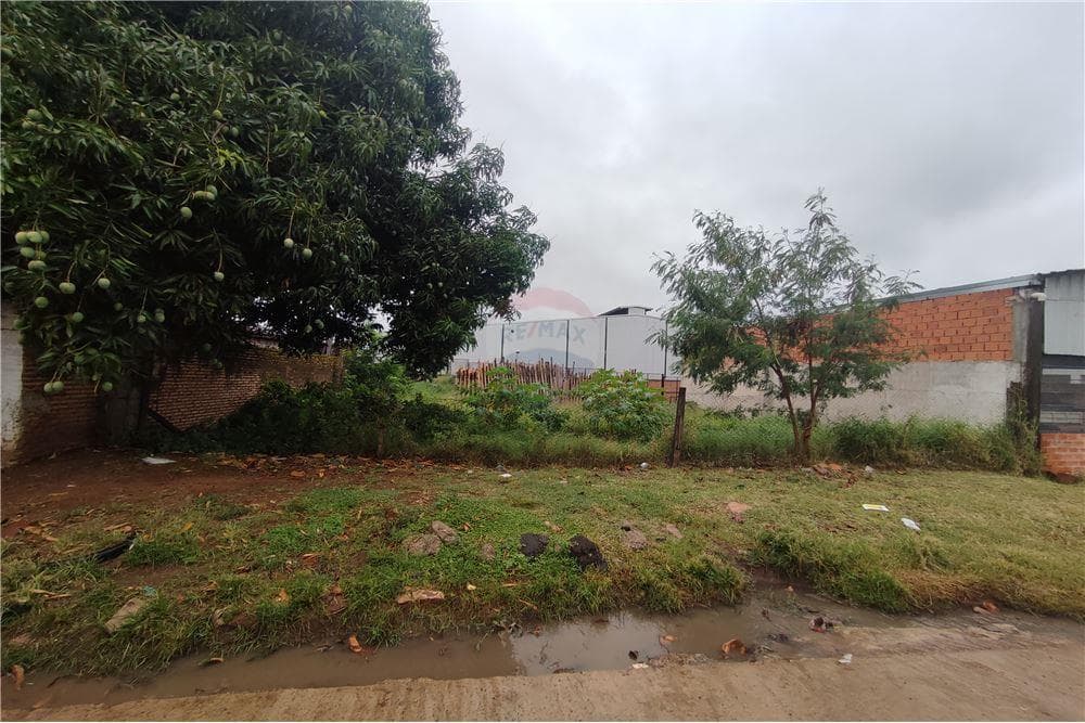 Terreno a 150 mts de av. Martinez, foto 5