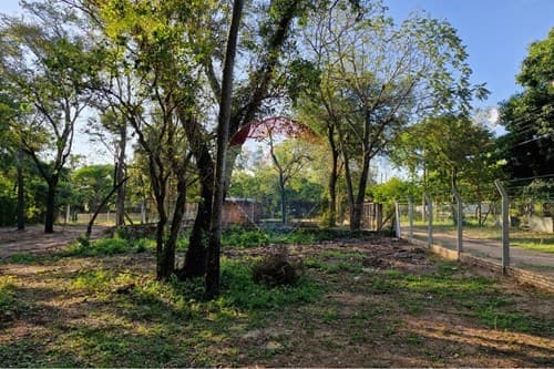 Terreno-Venta-PY Cordillera San Bernardino MCAL. ESTIGARRIBIA AVDA CIERVO CUA, foto 3