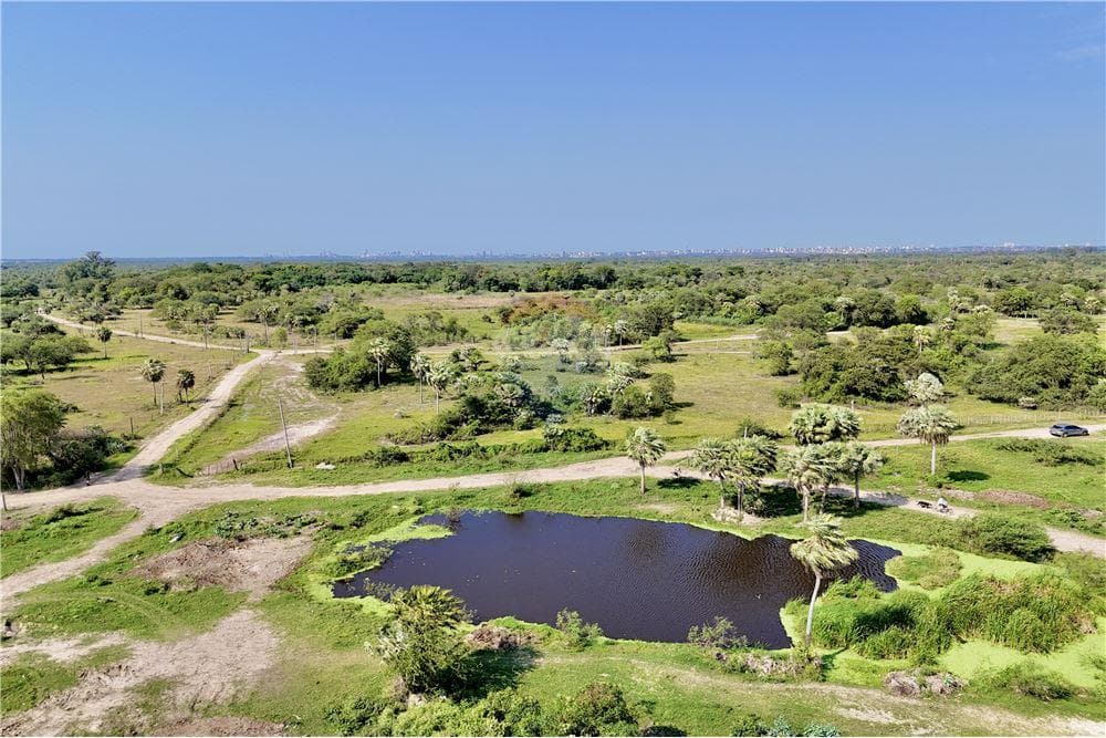 Estancia/Campo - Venta - Villa Hayes, Paraguay, foto 4