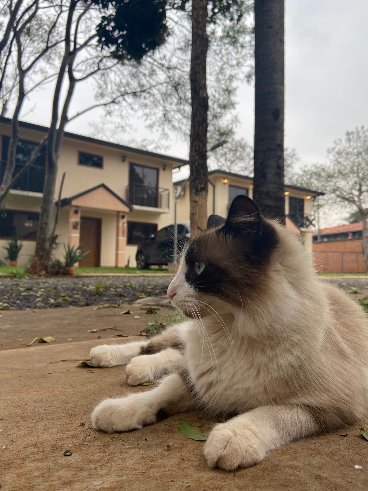 Alquilo Casa En Condominio A 5 Min De Ips Ingavi