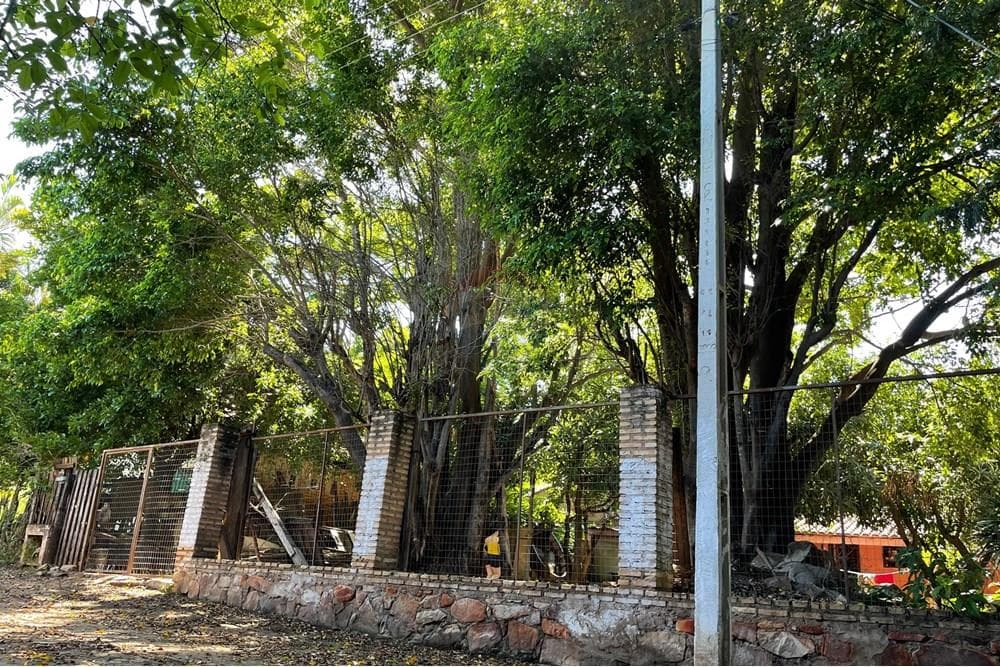Amplio terreno en zeballos cue - asuncion, foto 2
