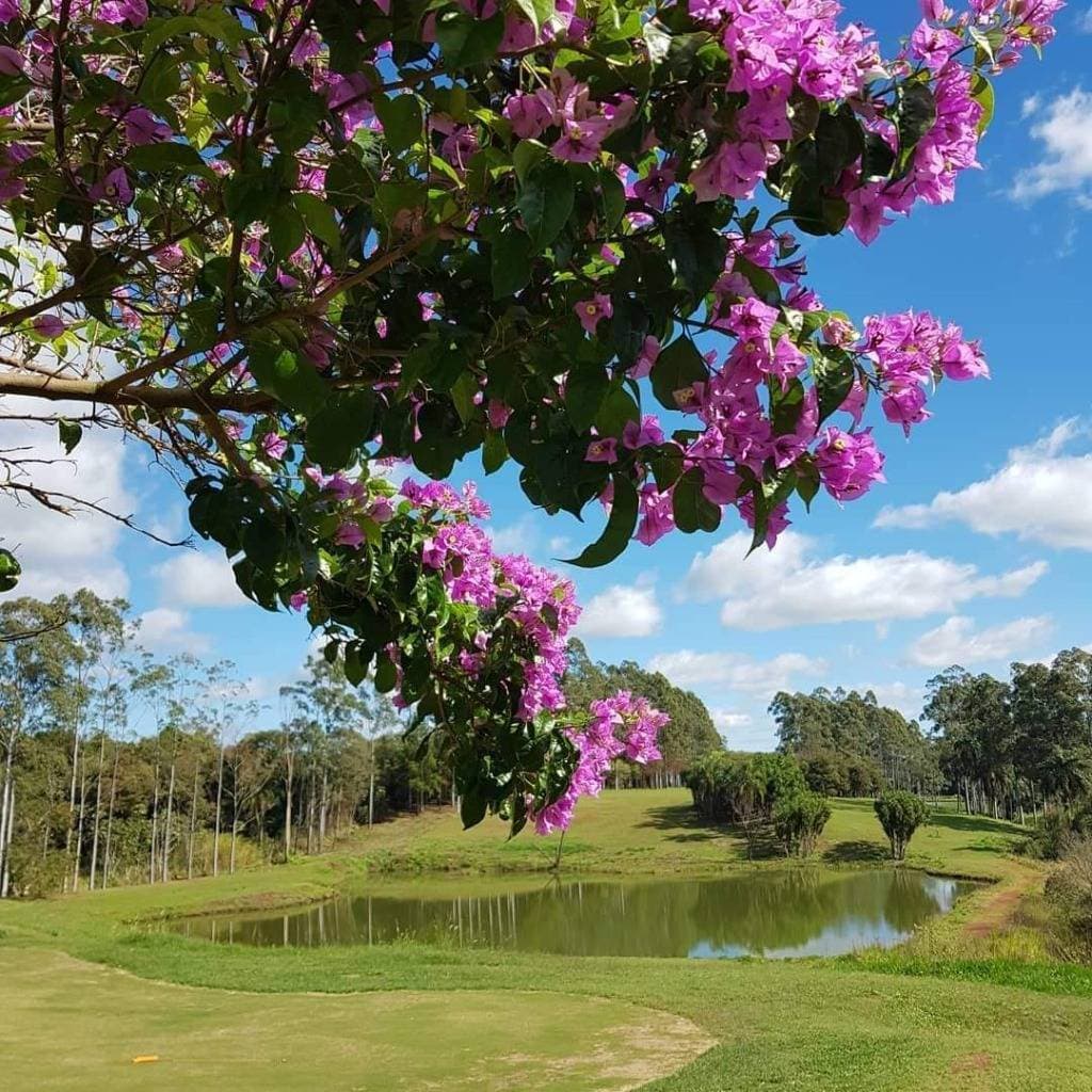 Lote en Condominio Paraíso Golf & Resort – Minga Guasu — foto 5