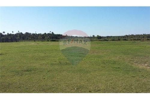 Estancia en funcionamiento en fuerte olimpo toro pampa, foto 3