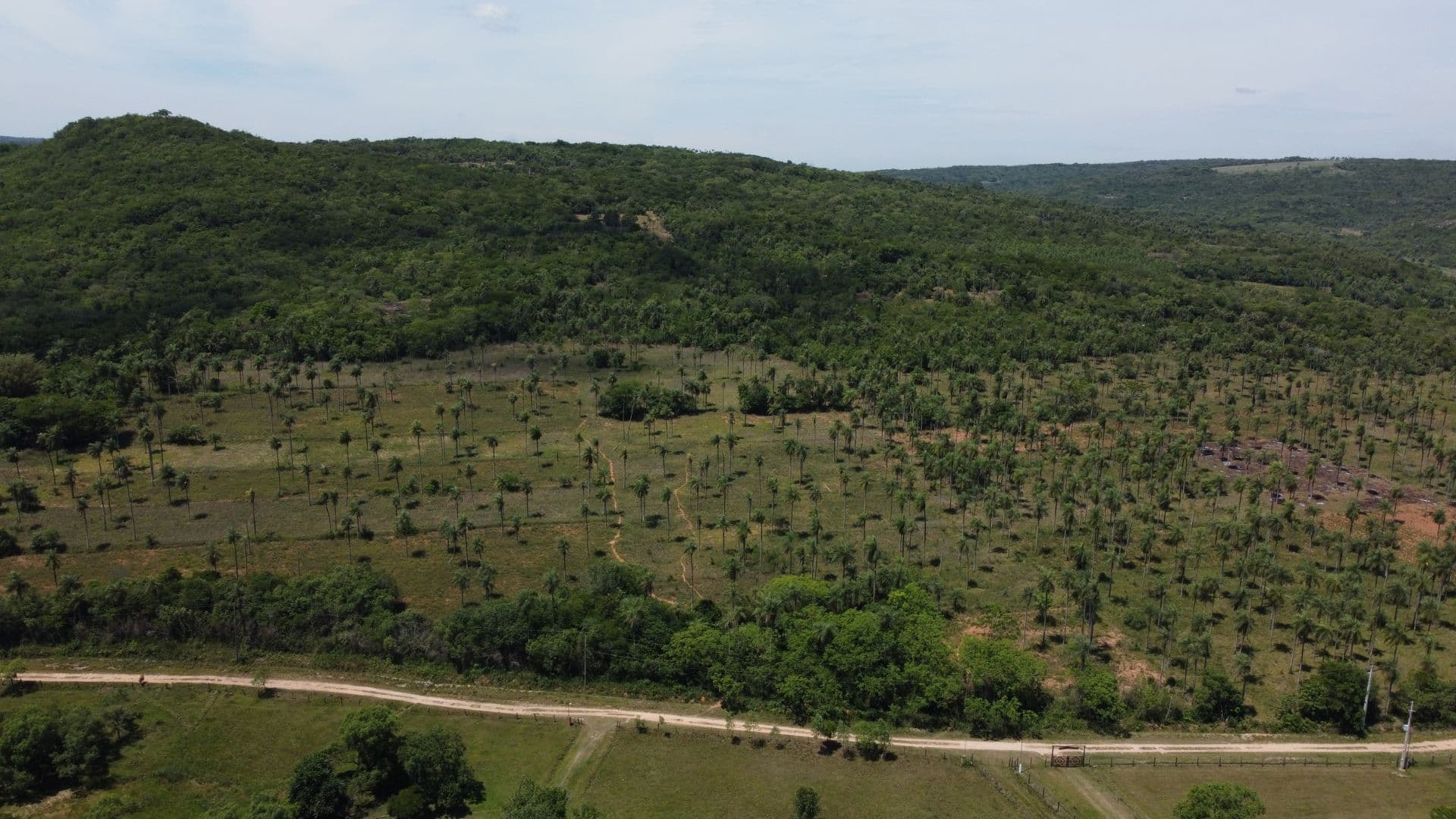Propiedad De 1 Hectárea En Piribebuy, foto 5