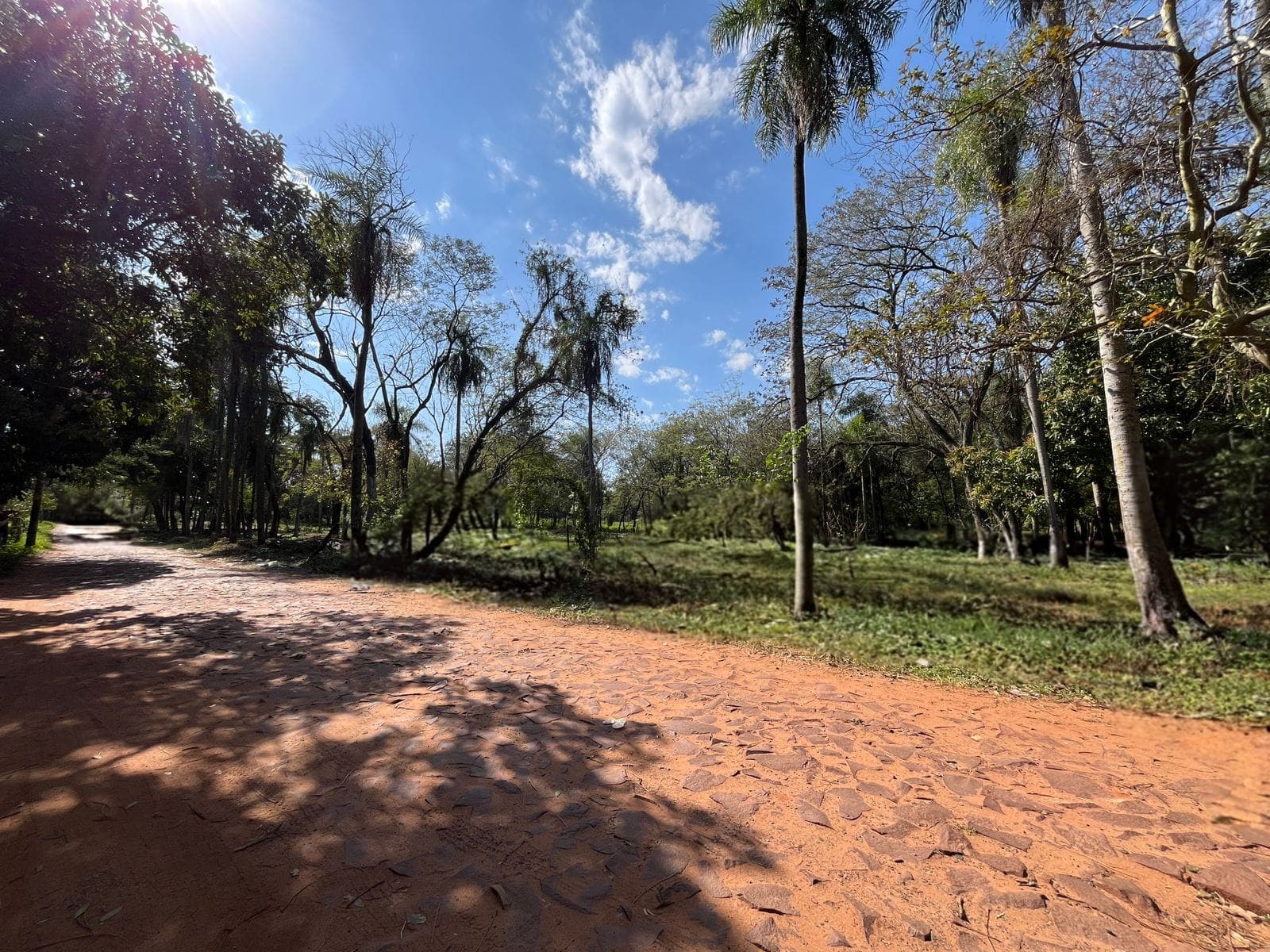 Terreno perfecto para construir Itauguá, foto 5