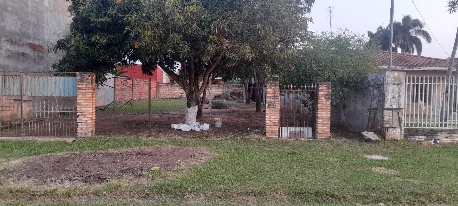 Terreno en limpio, foto 2