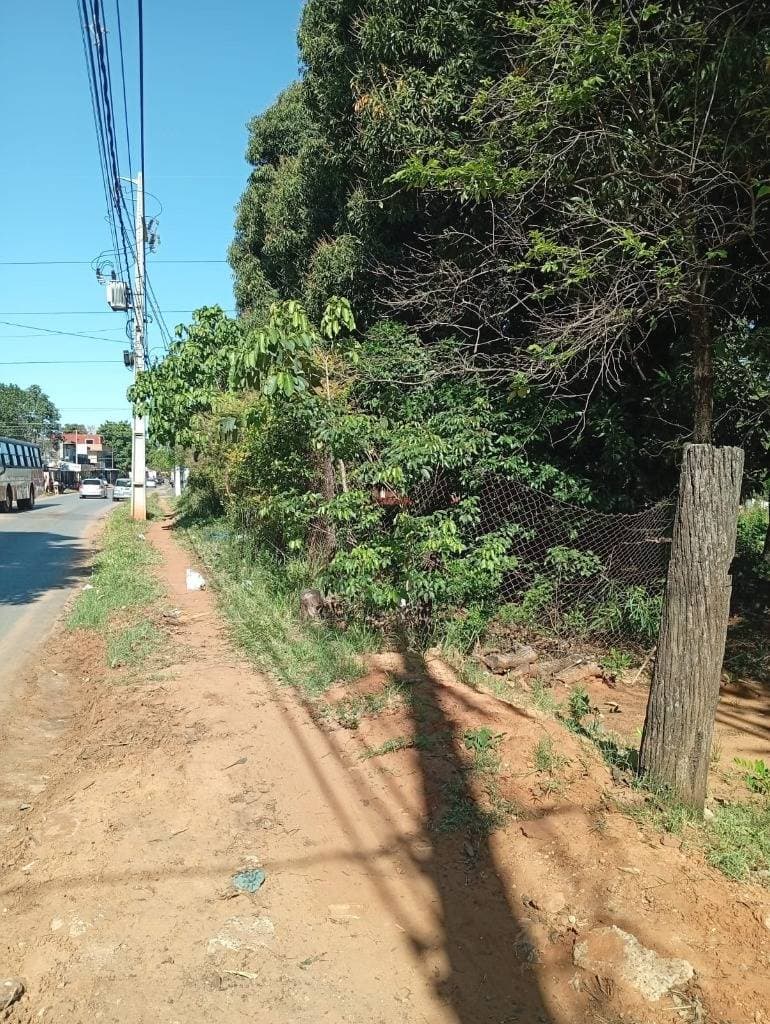 En venta, Terreno de 1667 mt2 en Isla Bogado, Luque, foto 4