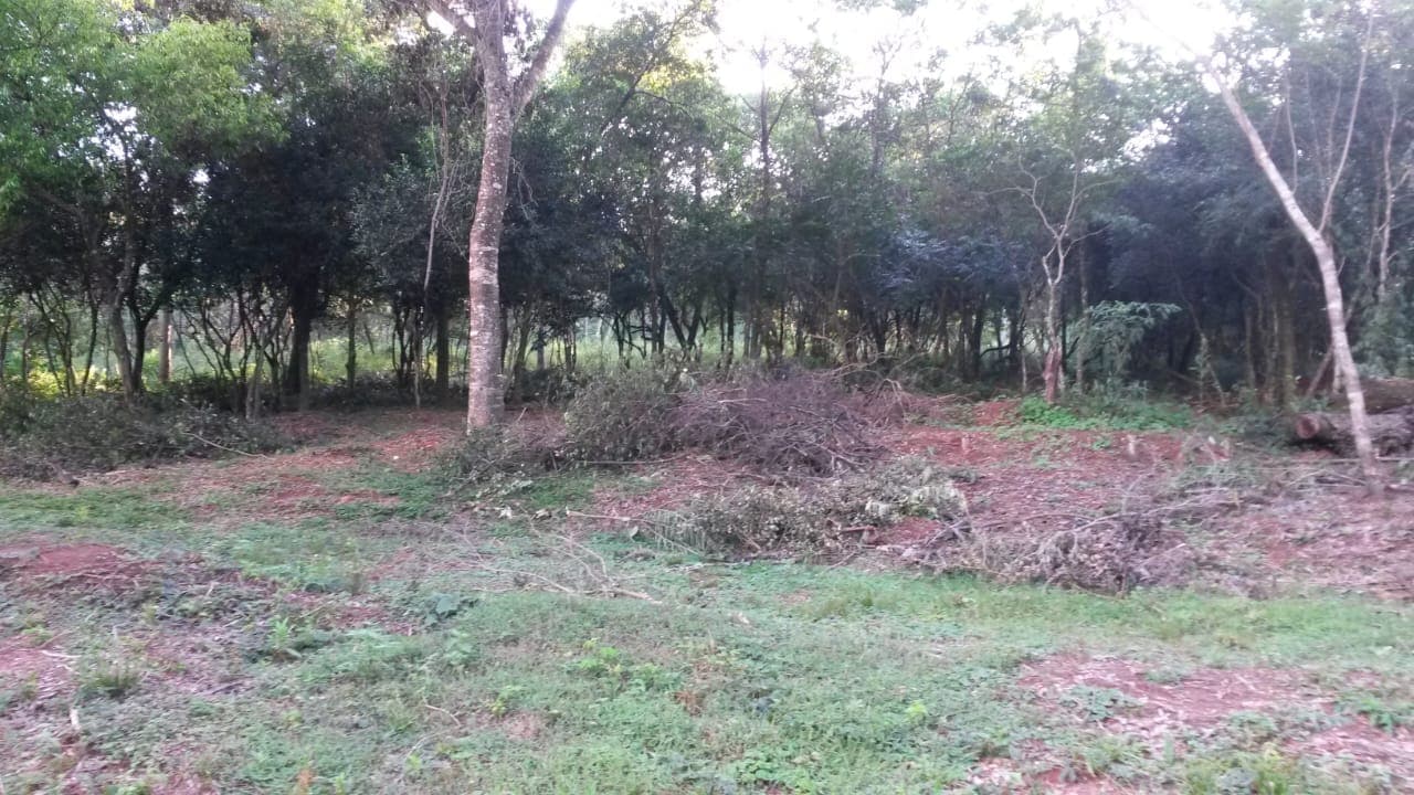 En venta. Amplio terreno en altos, foto 2