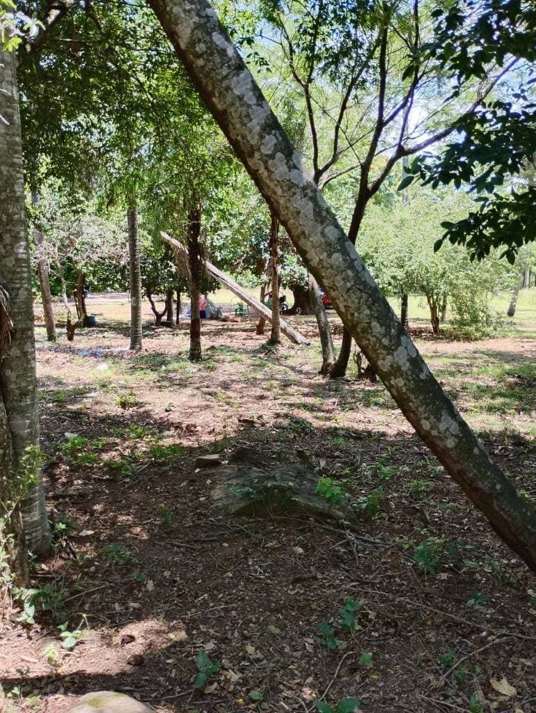 - Terreno 2.914 m2 en el centro de Loma Grande - Cordillera, foto 4
