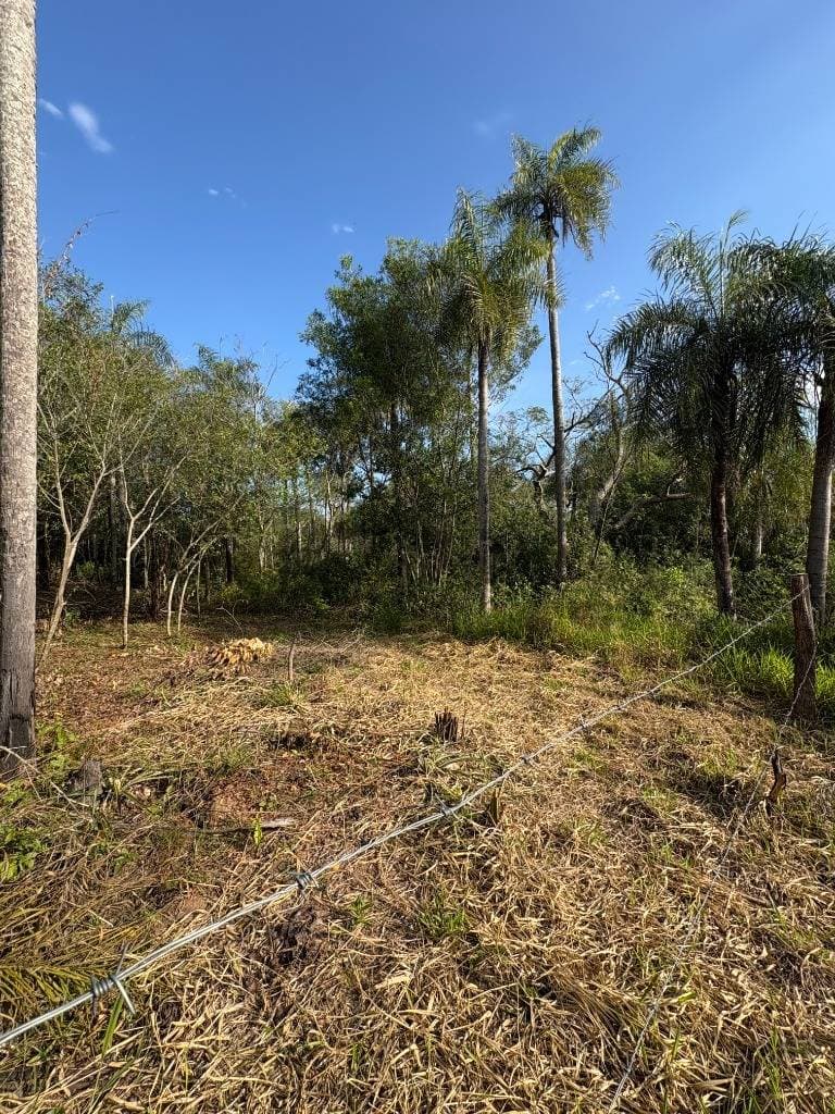 Terrenos en Zona Anfiteatro – San Bernardino. Lote 20 y Lote 21