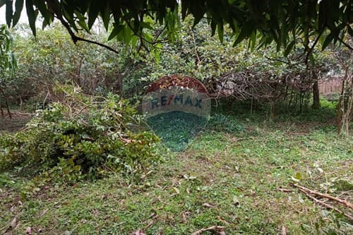 Terreno en venta, la colmena, foto 5