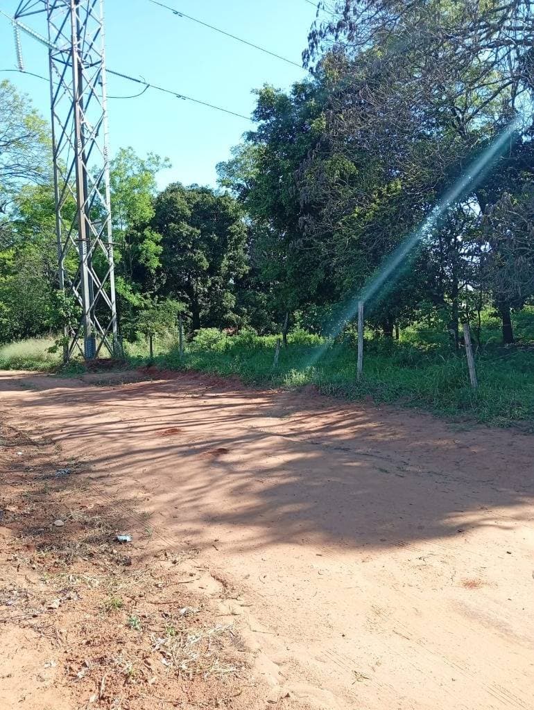 Terreno de 1667 mt2 en Isla Bogado, Luque, foto 3