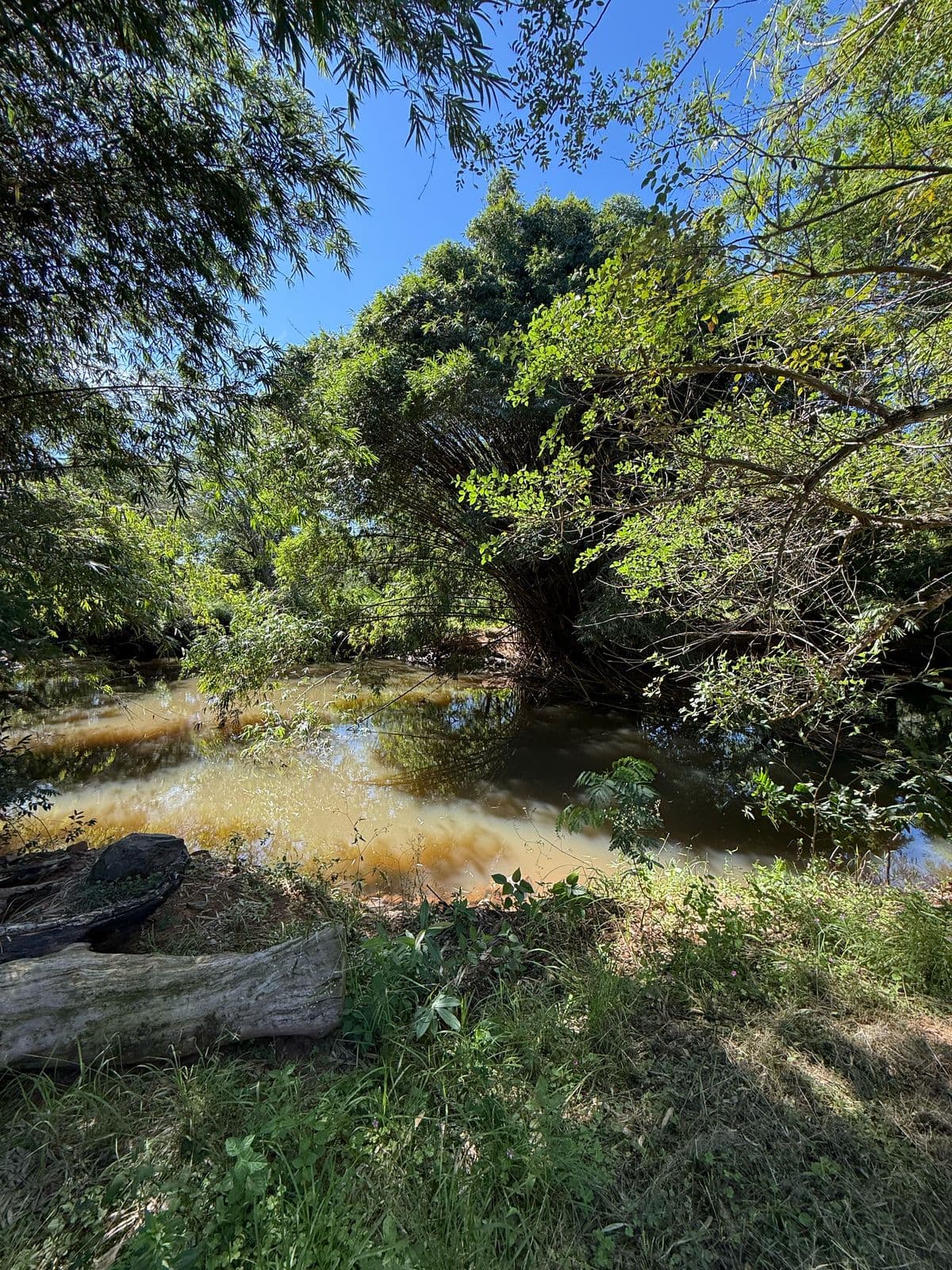 Chacra En Luque - Areguá 7 Hectáreas — foto 4