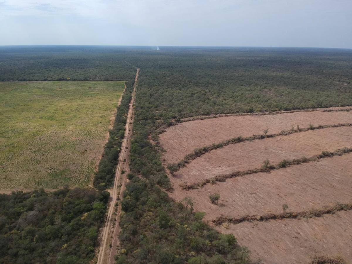 VENTA - Estancia 1.918 ha apta agricultura y ganadería - Boquerón