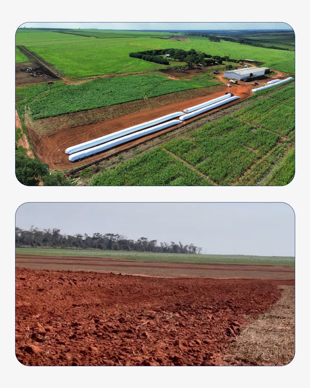 Propiedad Agrícola de 530 Hectáreas en San Pedro - CLCS7640832 — foto 5