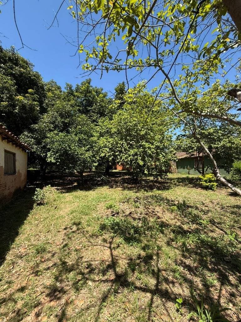 Terreno en venta - zeballos cue, asuncion, foto 2