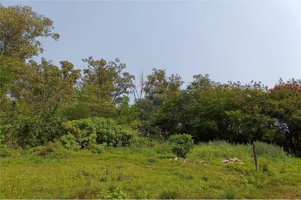 Terreno - Venta - Paraguay Central San Lorenzo, foto 2