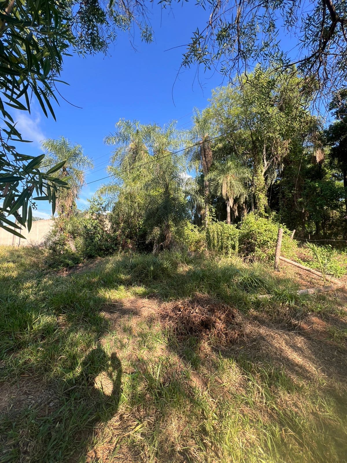Terreno en venta caacupe loma, foto 5