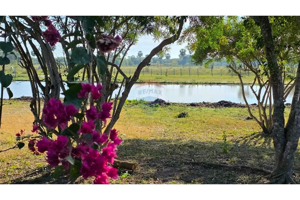 En venta gran campo en villa hayes — foto 4