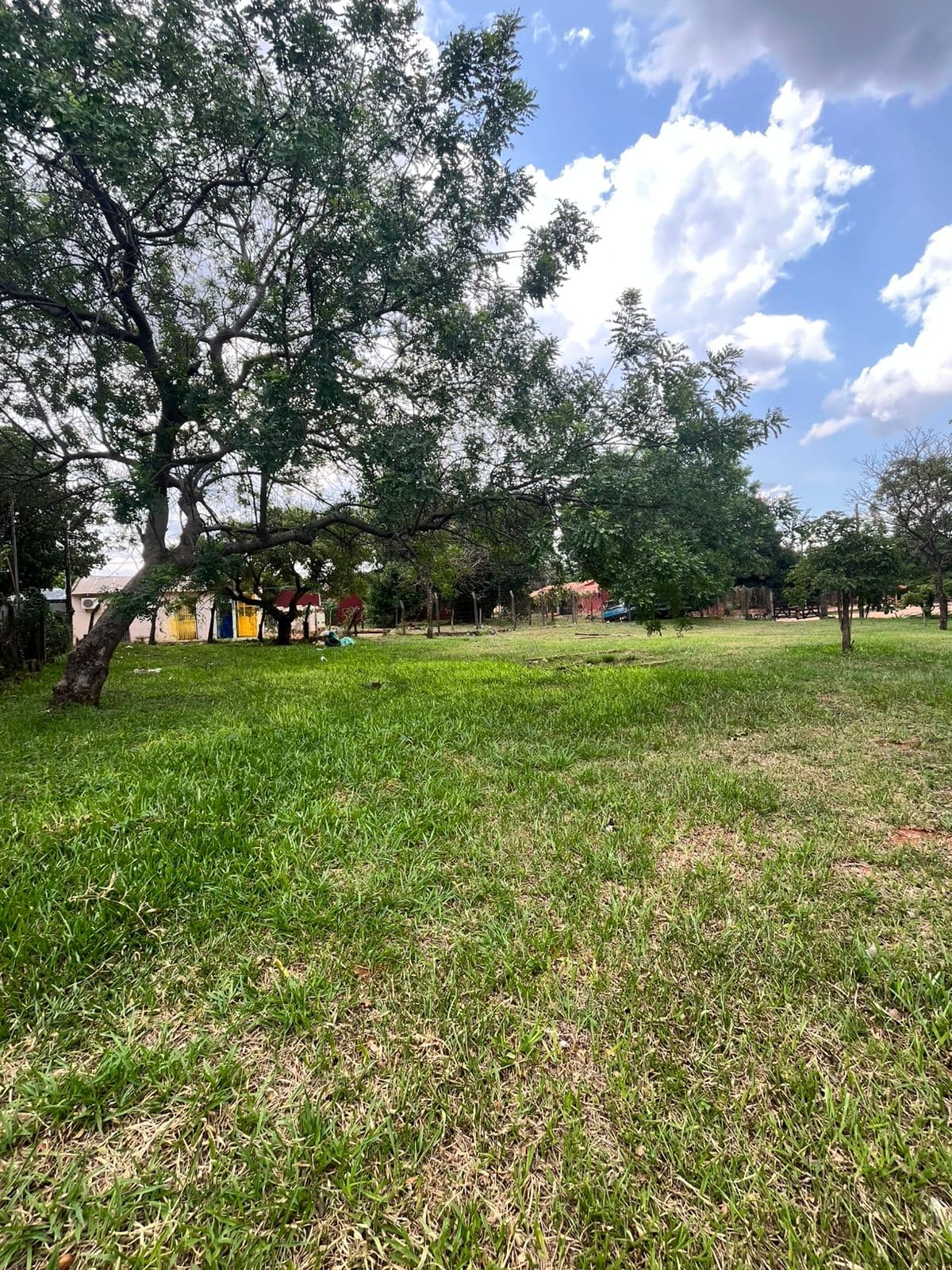 Terreno en Luque, foto 4
