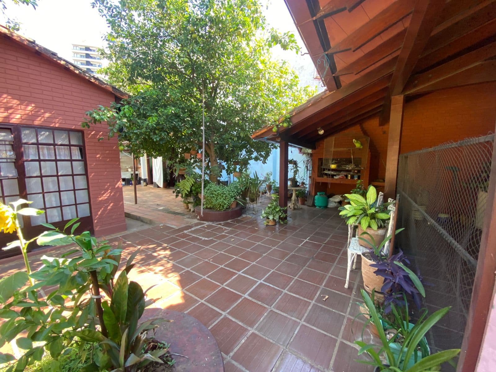 Duplex - Alquiler - Mburucuya, Paraguay, foto 5